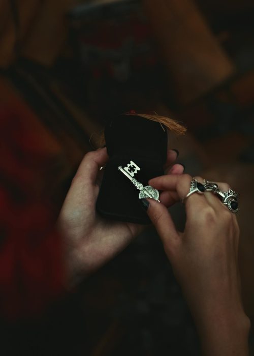 pexels-lucasandrade-14167183 (1)